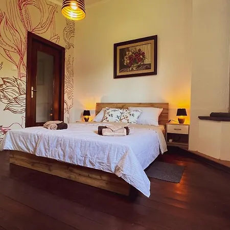 Casa Ana New In 2025 High Speed Starlink Wifi Buzet
