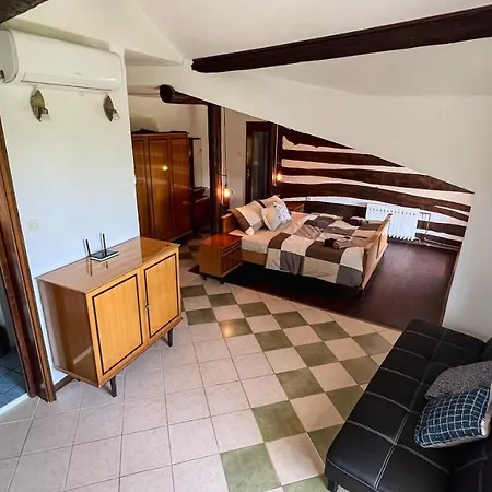Villa Casa Ana High Speed Starlink Wifi Buzet
