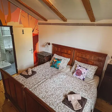 Villa Casa Ana High Speed Starlink Wifi *